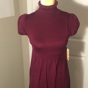 Derek Heart wine colored sweater dress sz M
